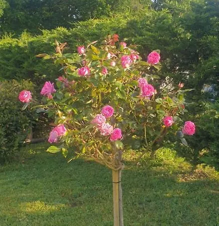 Maison De Famille Proche De Tout Au Calme * Bourcefranc